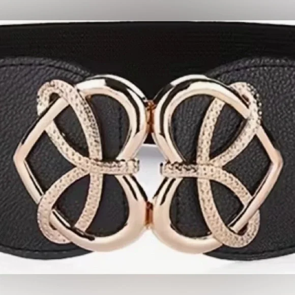 3 Different Colors-Gold Accent Elastic Waist Belts- Women Accessories - Picture 2 of 3